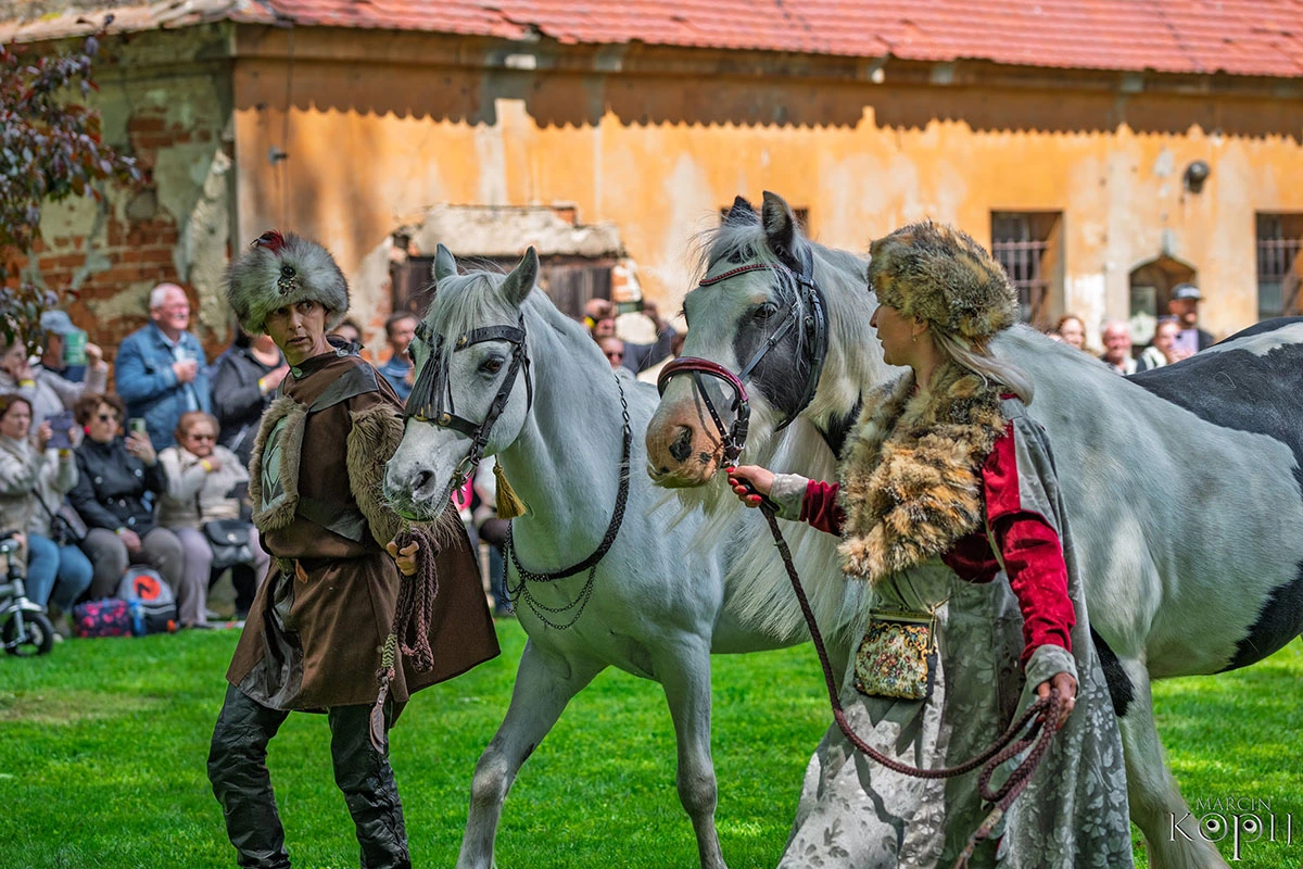 2025 III Festiwal Kwitnących Azalii i Rododendronów pod Europejskim Drzewem Roku 2025