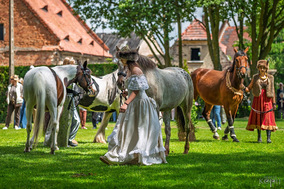 2025 III Festiwal Kwitnących Azalii i Rododendronów pod Europejskim Drzewem Roku 2025