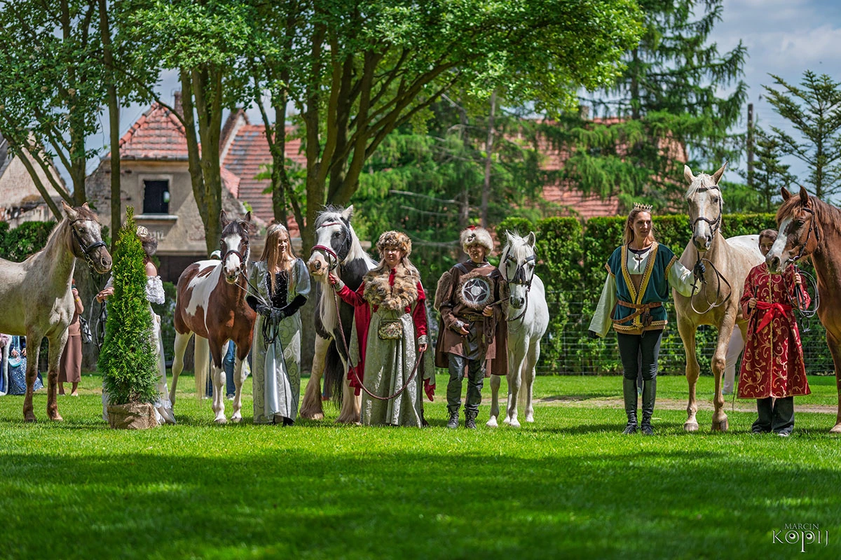 2025 III Festiwal Kwitnących Azalii i Rododendronów pod Europejskim Drzewem Roku 2025