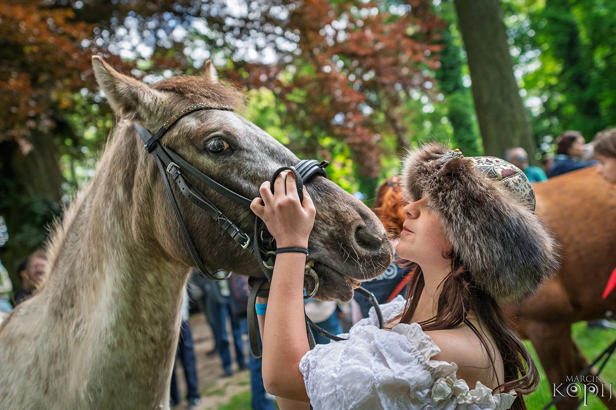 2025 III Festiwal Kwitnących Azalii i Rododendronów pod Europejskim Drzewem Roku 2025