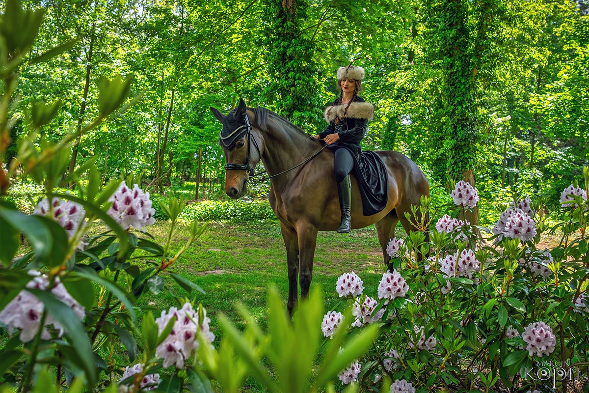 2025 III Festiwal Kwitnących Azalii i Rododendronów pod Europejskim Drzewem Roku 2025