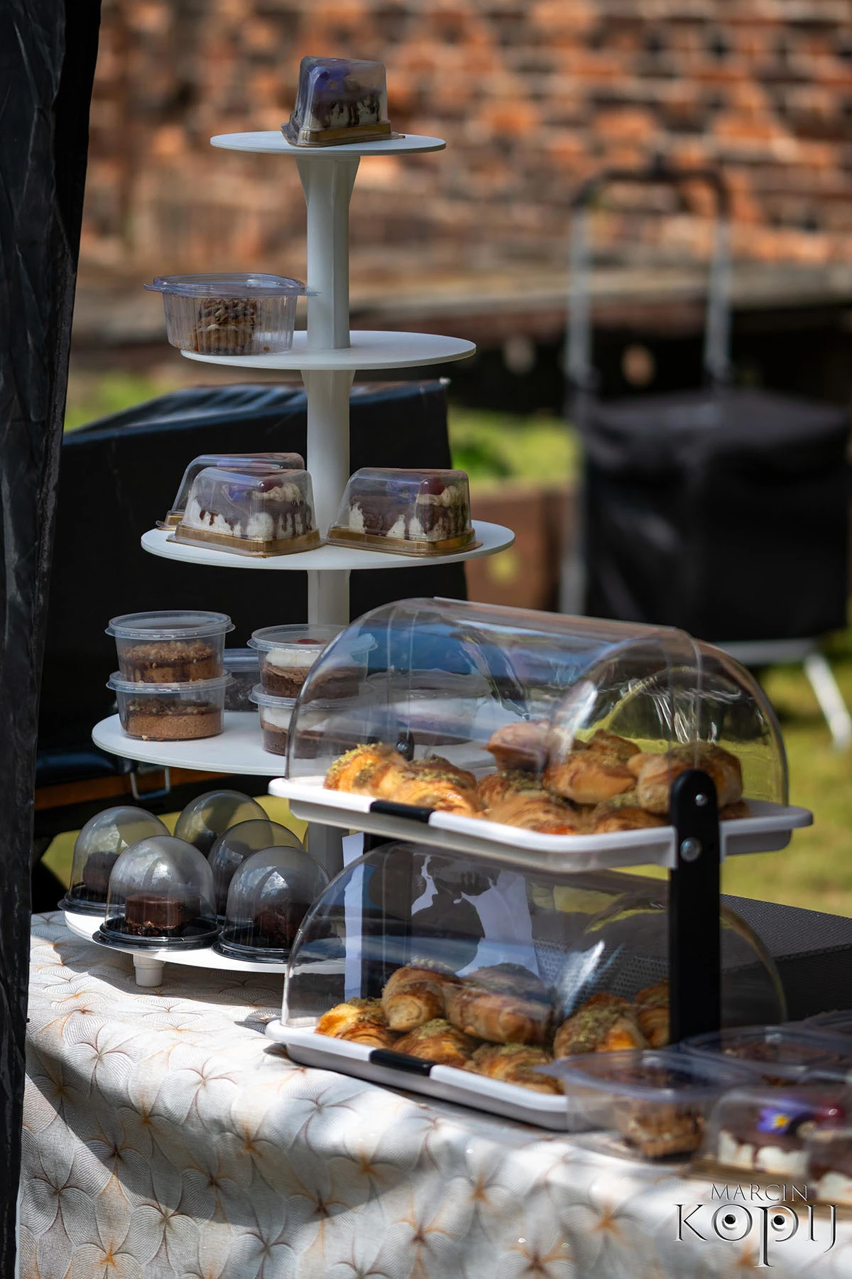 2025 III Festiwal Kwitnących Azalii i Rododendronów pod Europejskim Drzewem Roku 2025