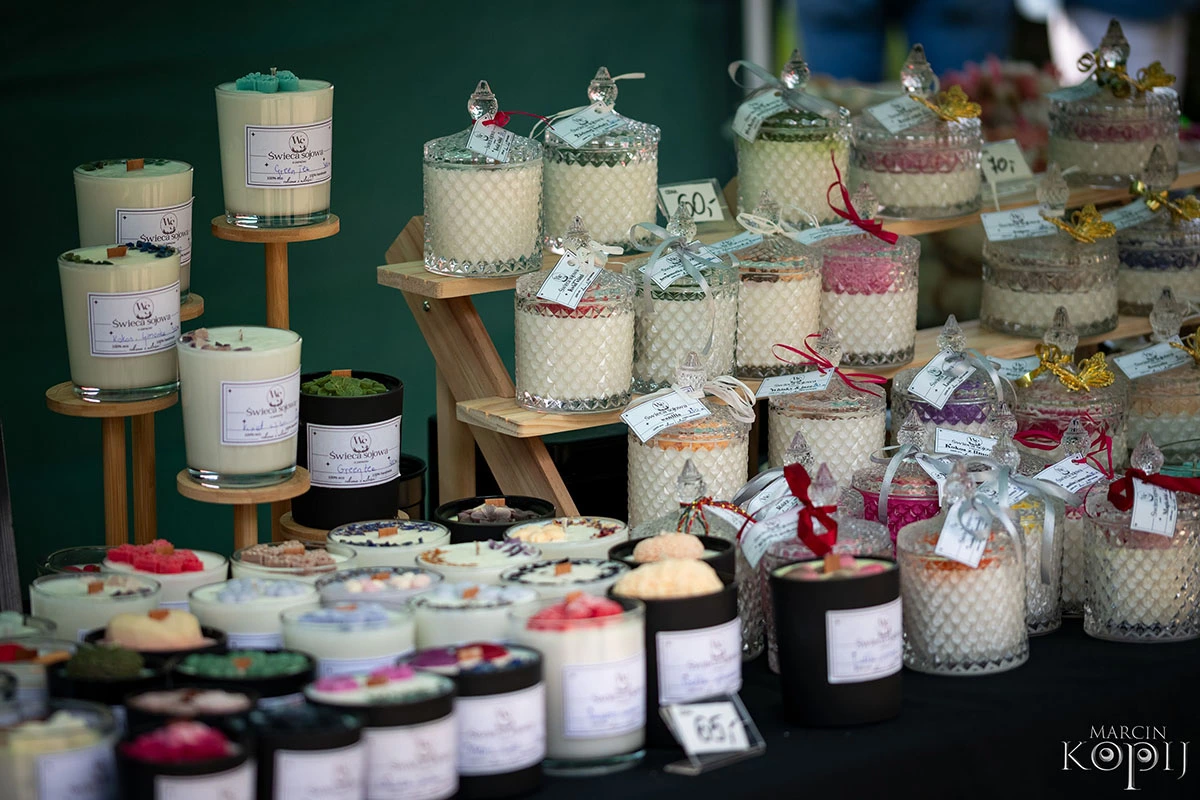 2025 III Festiwal Kwitnących Azalii i Rododendronów pod Europejskim Drzewem Roku 2025