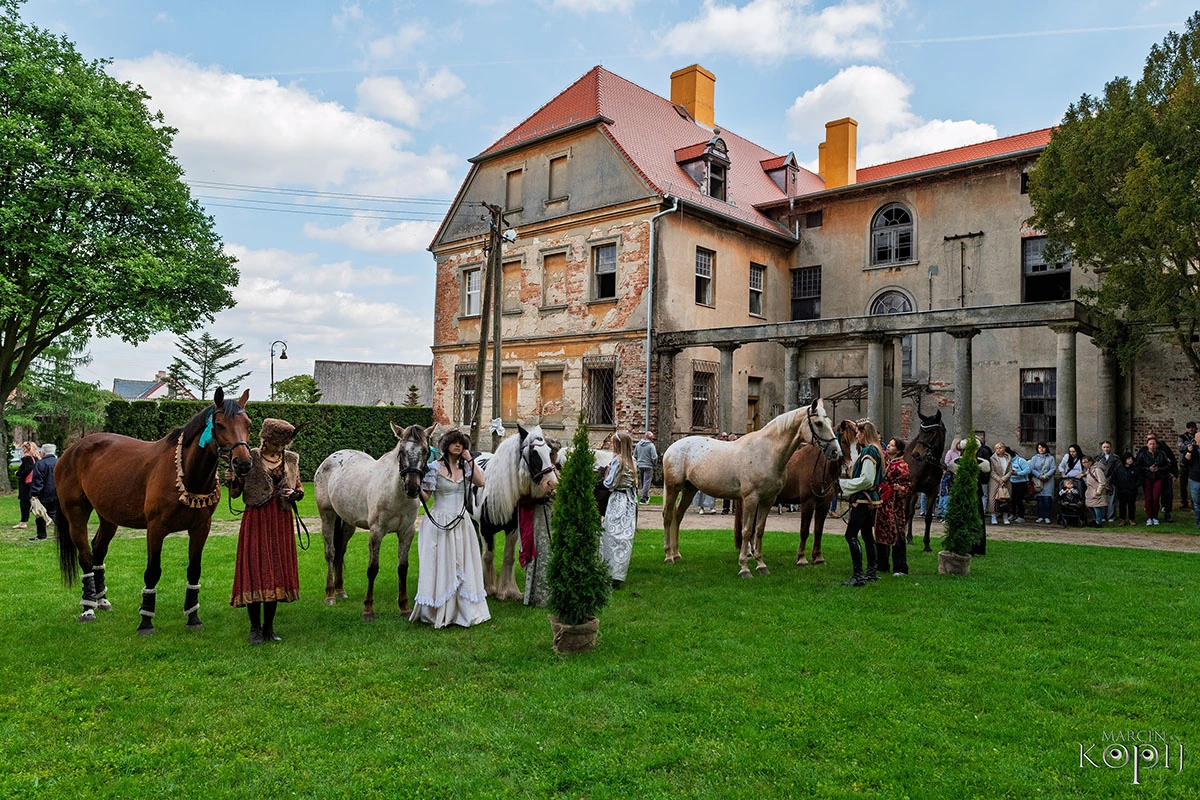 2025 III Festiwal Kwitnących Azalii i Rododendronów pod Europejskim Drzewem Roku 2025