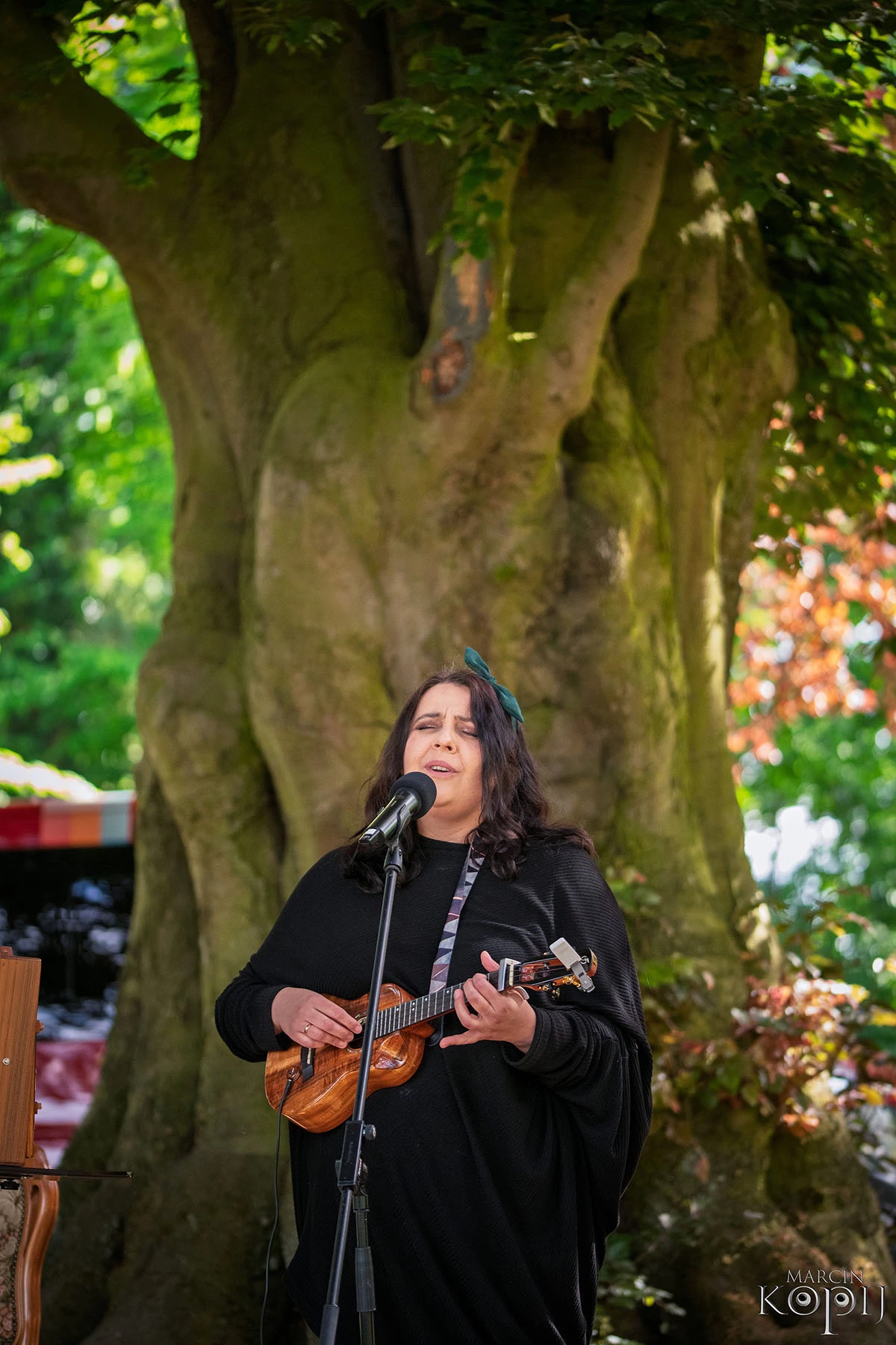 2025 III Festiwal Kwitnących Azalii i Rododendronów pod Europejskim Drzewem Roku 2025