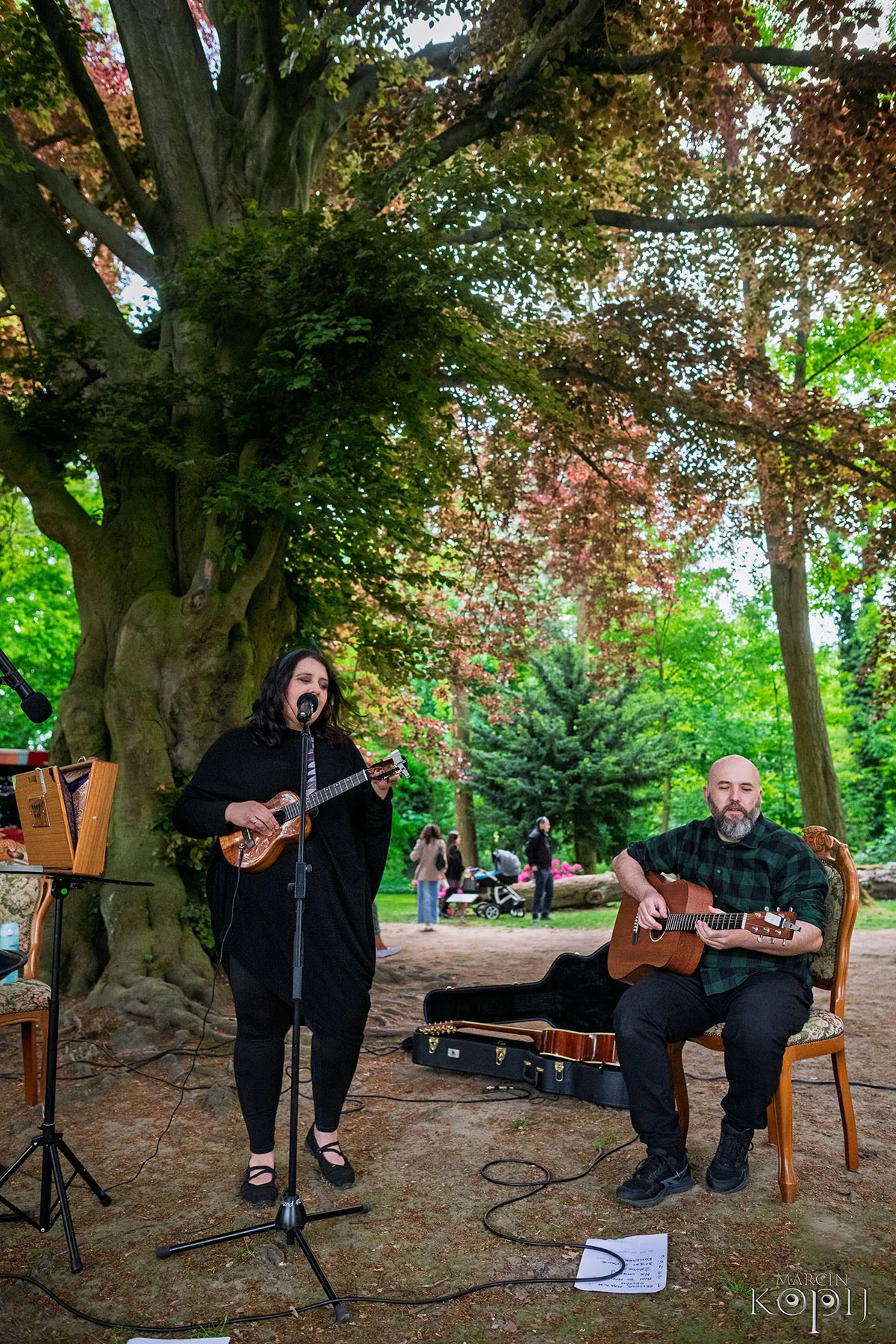 2025 III Festiwal Kwitnących Azalii i Rododendronów pod Europejskim Drzewem Roku 2025