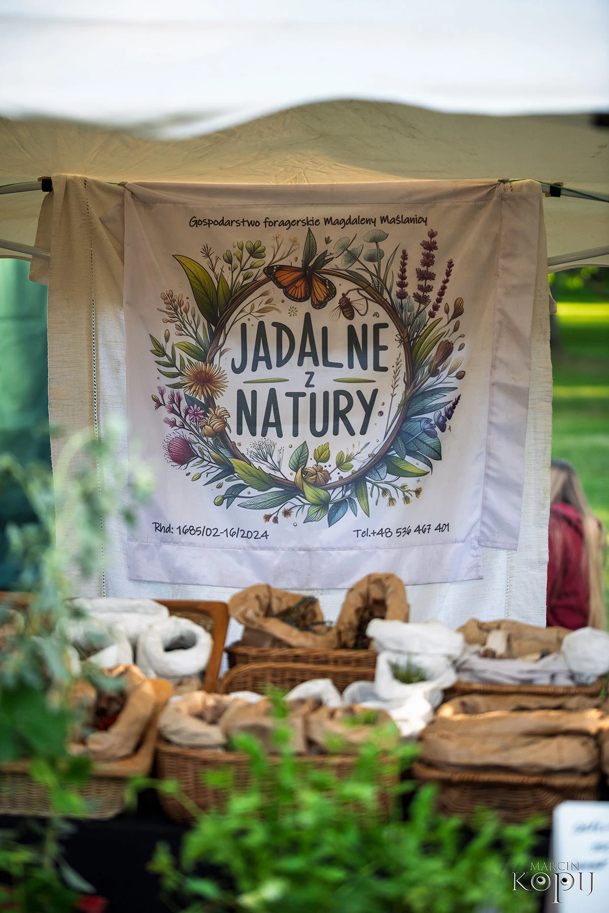 2025 III Festiwal Kwitnących Azalii i Rododendronów pod Europejskim Drzewem Roku 2025