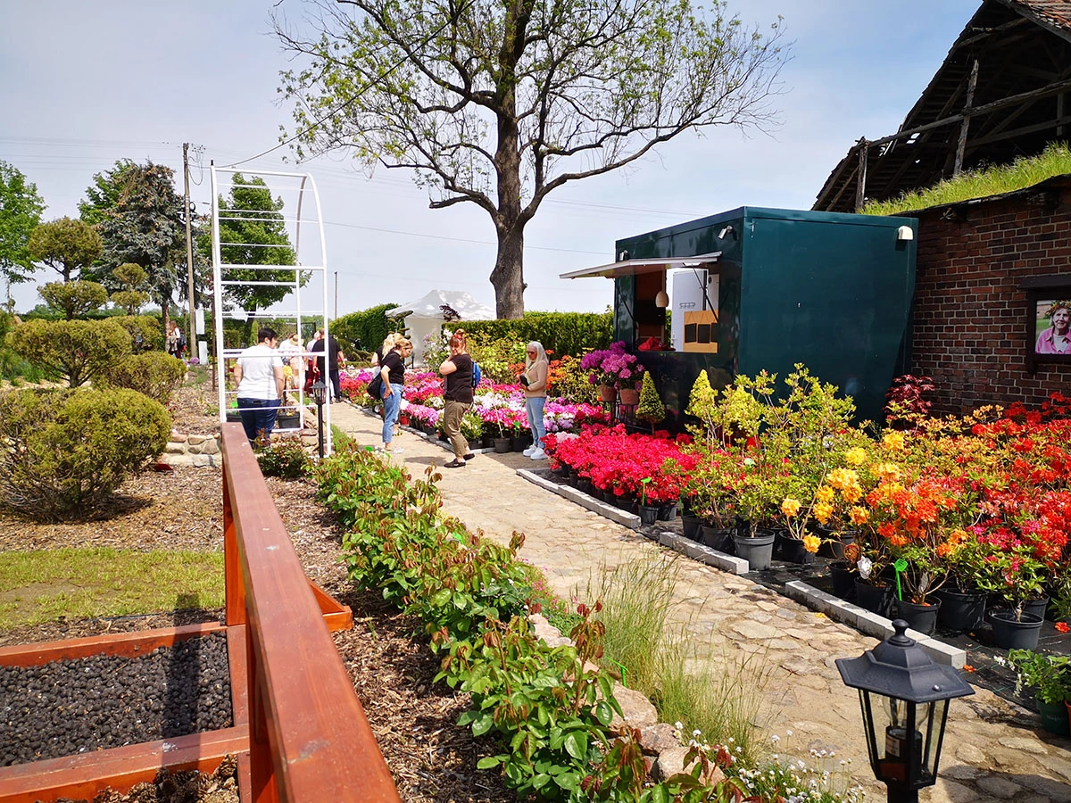 2023 I Festiwal Kwitnących Azalii i Rododendronów