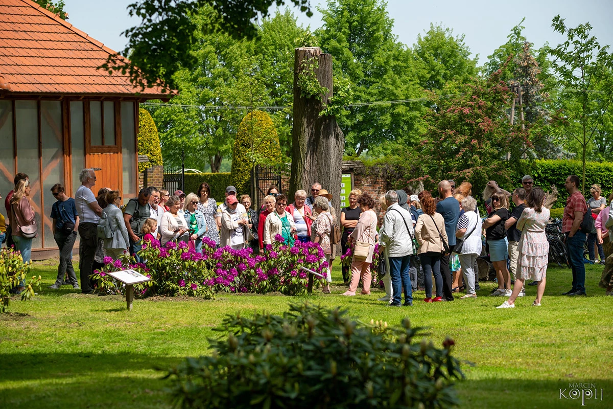 2023 I Festiwal Kwitnących Azalii i Rododendronów