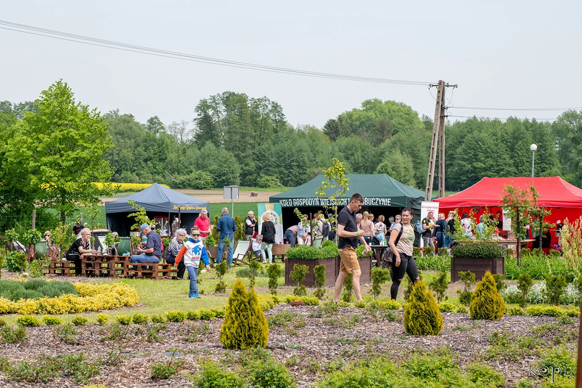 2023 I Festiwal Kwitnących Azalii i Rododendronów