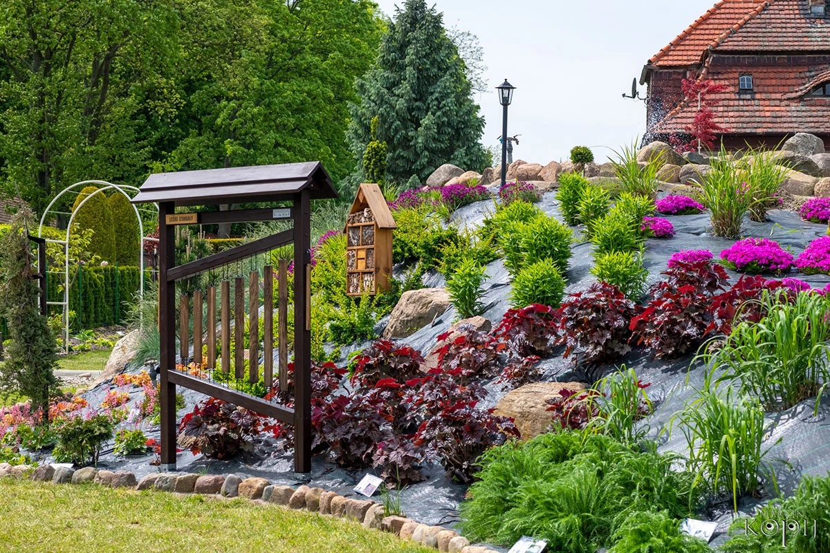 2023 I Festiwal Kwitnących Azalii i Rododendronów