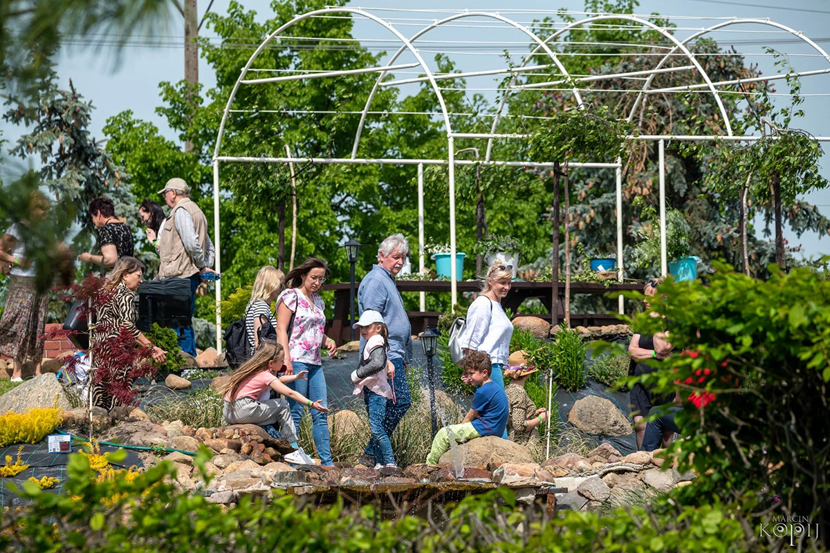 2023 I Festiwal Kwitnących Azalii i Rododendronów