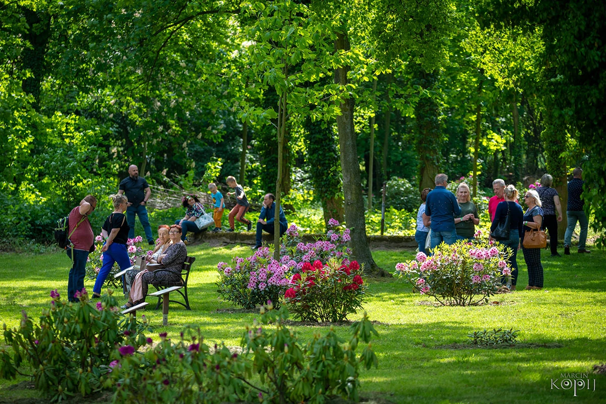 2023 I Festiwal Kwitnących Azalii i Rododendronów