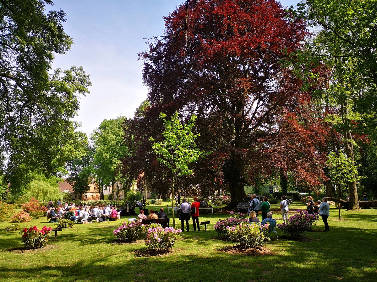 2023 I Festiwal Kwitnących Azalii i Rododendronów