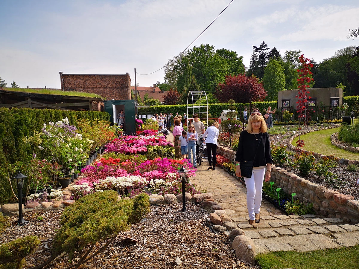 2023 I Festiwal Kwitnących Azalii i Rododendronów