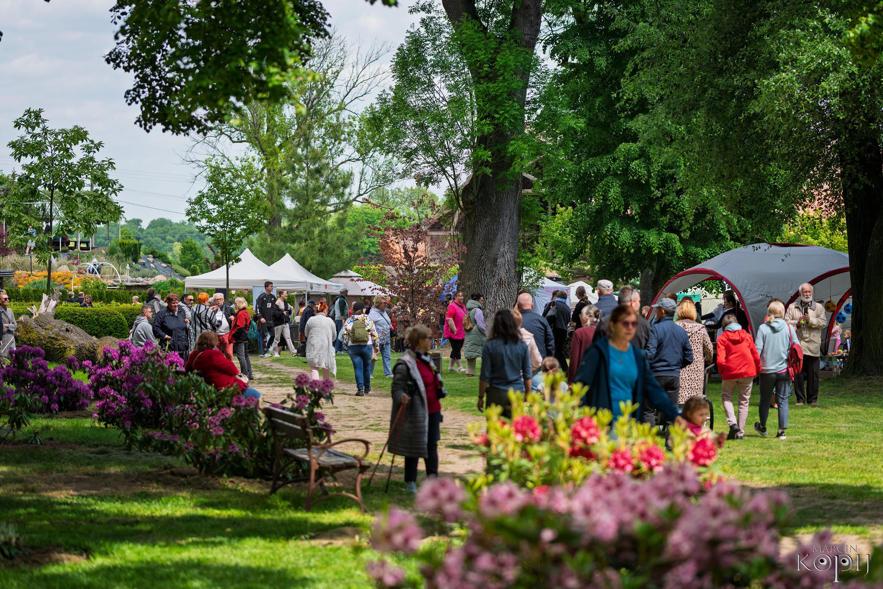 Festiwal-przy-Pałacu-w-Dalkowie