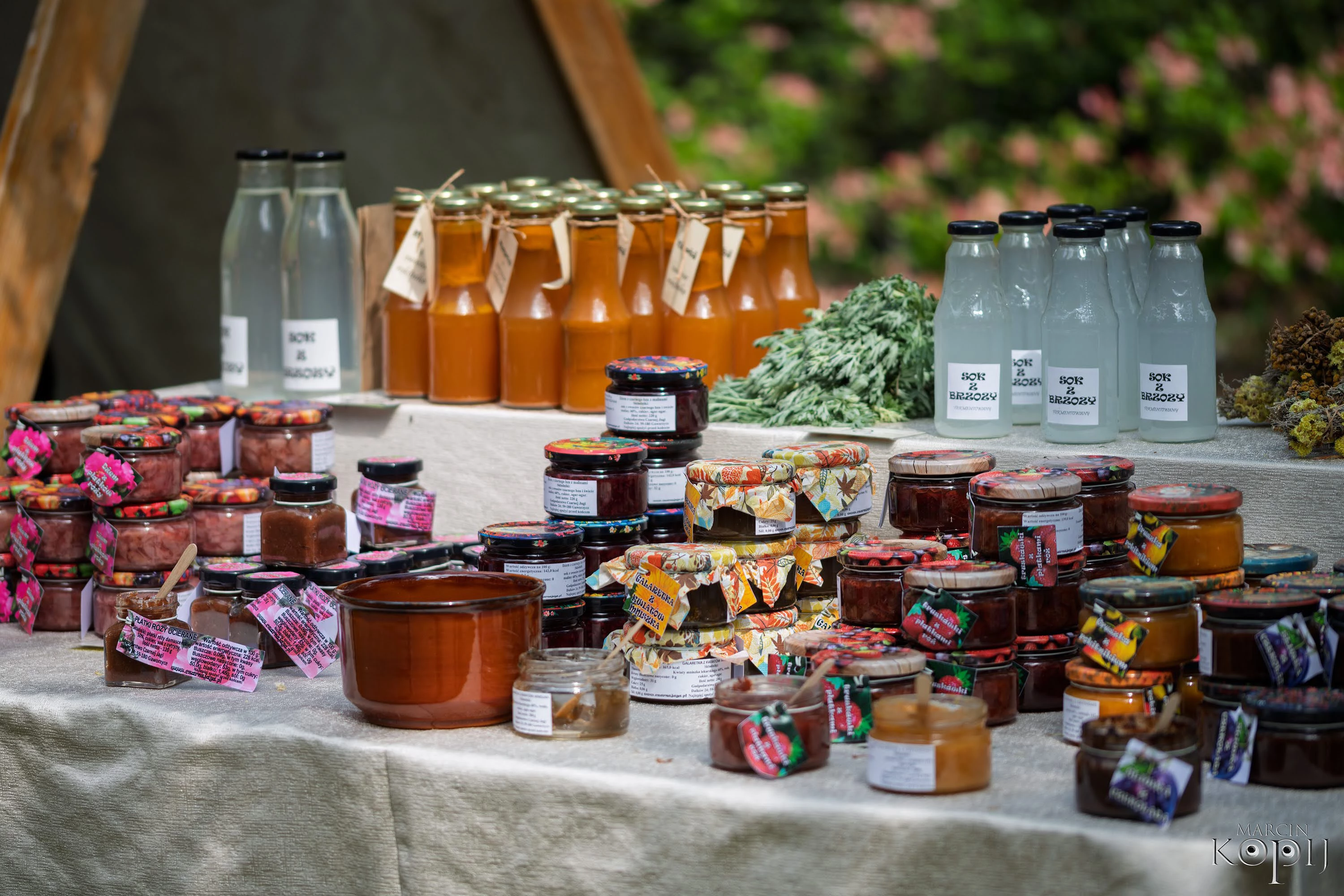 Festiwal-przy-Pałacu-w-Dalkowie