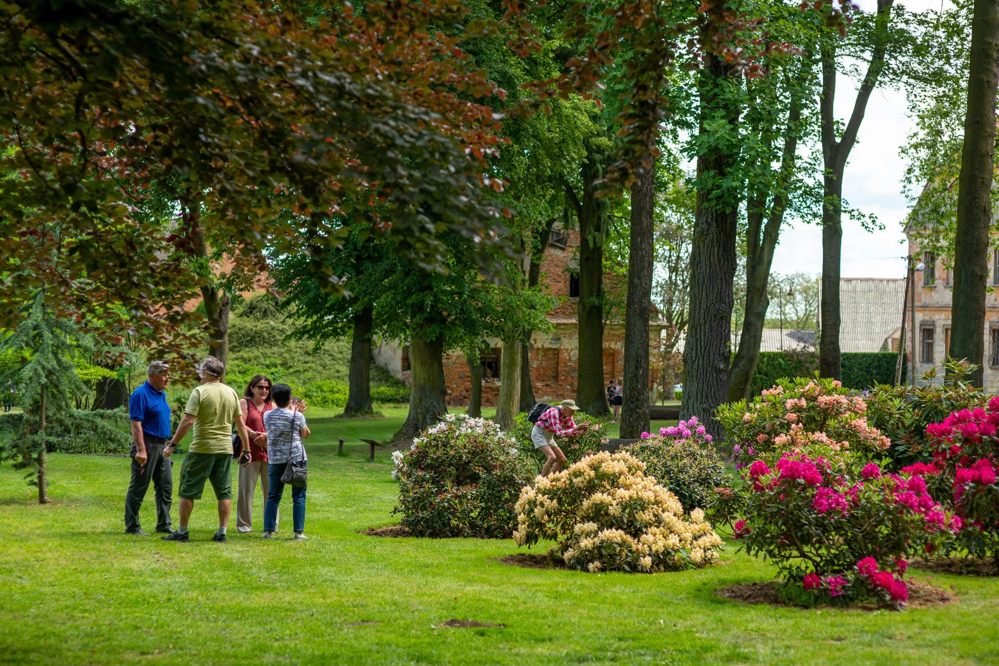Festiwal-przy-Pałacu-w-Dalkowie
