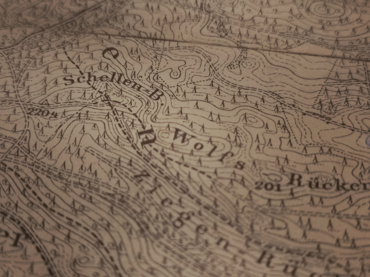 Wieża na Wzgórzach Dalkowskich