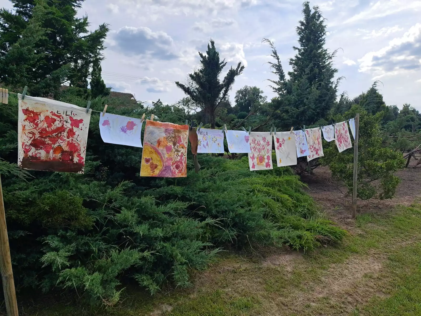 projekty Fundacja Dalków