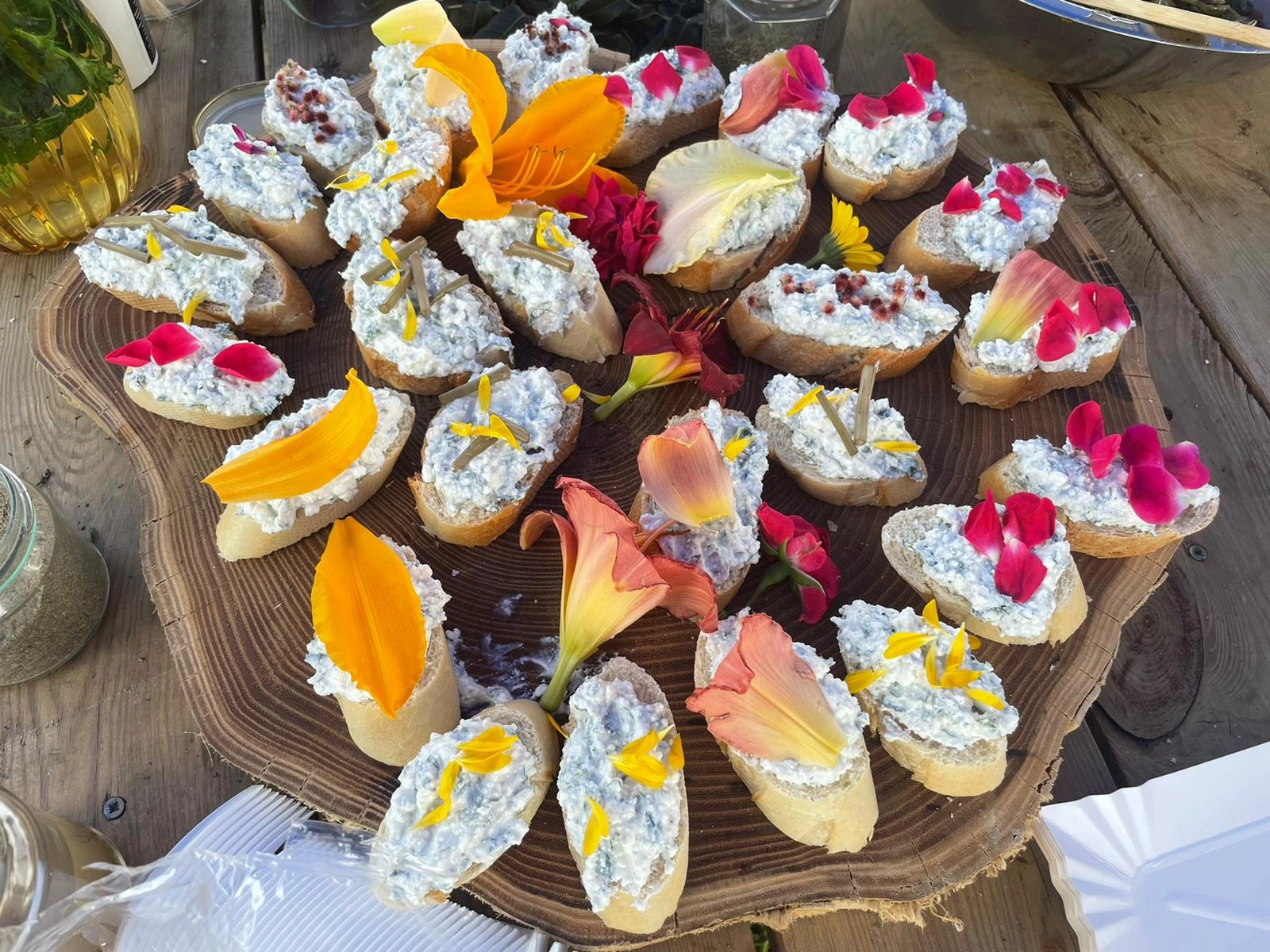 projekty Fundacja Dalków