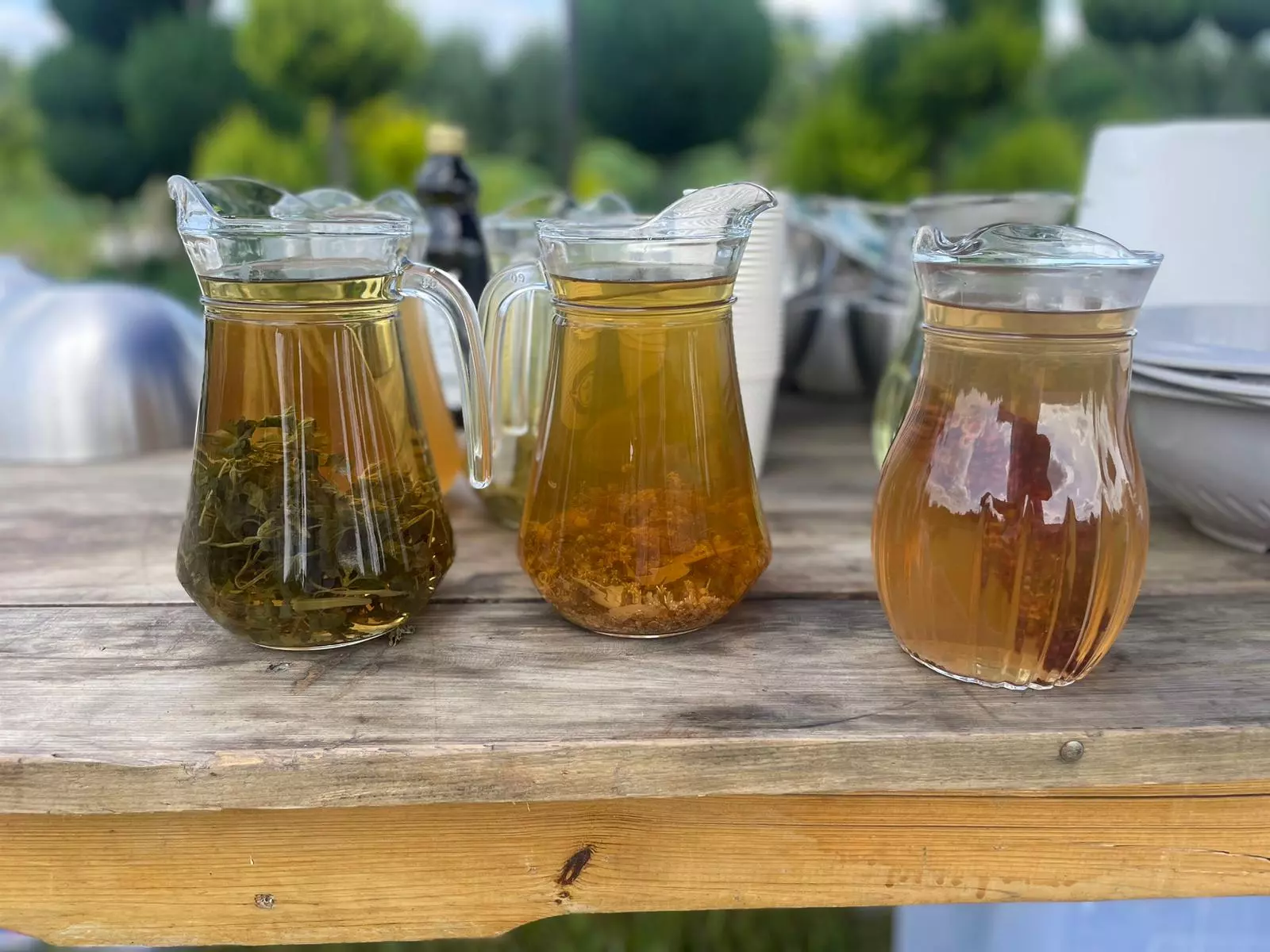 projekty Fundacja Dalków