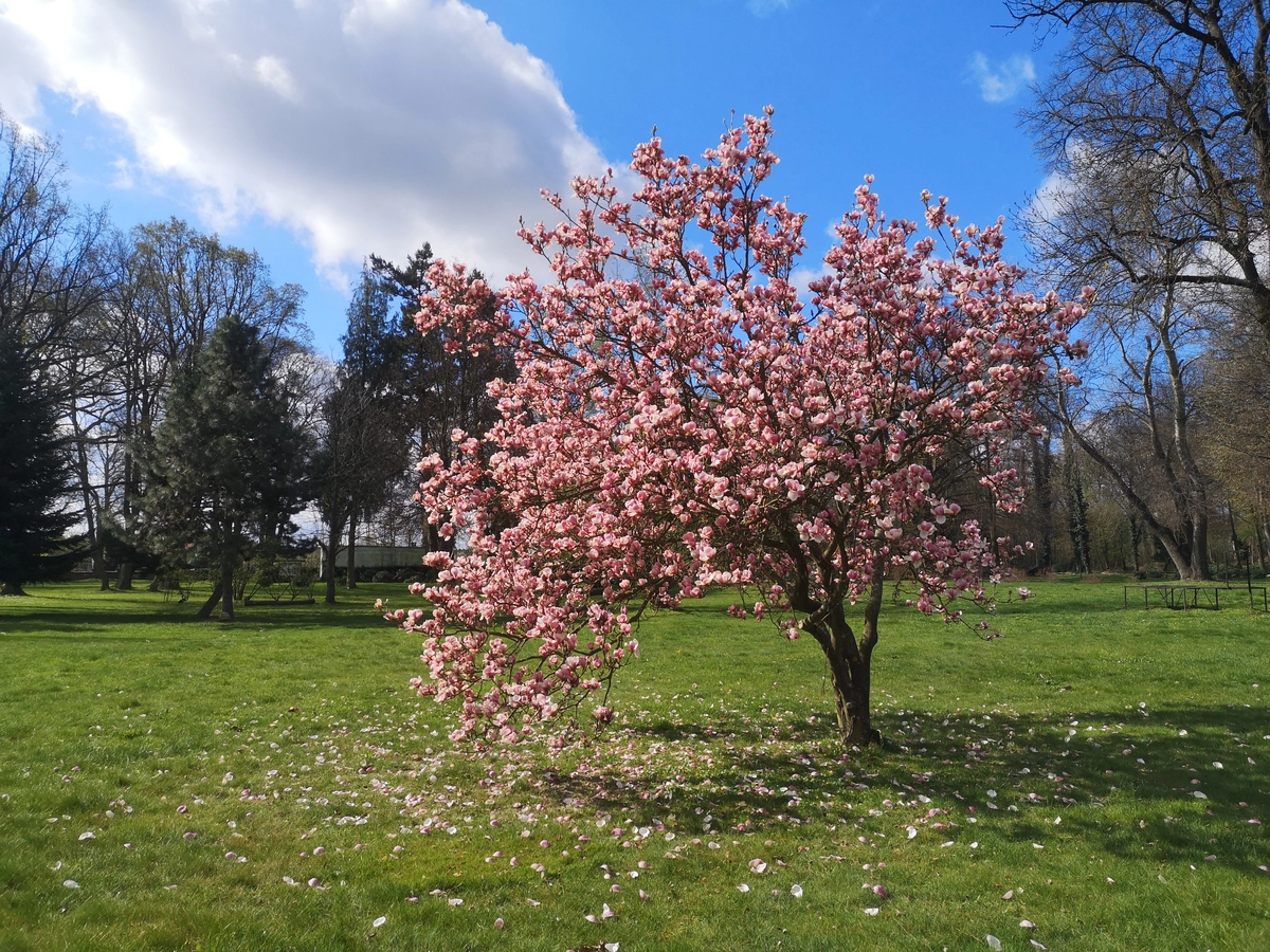 Wygląd Centrum Hortiterapii w miesiącu kwietniu