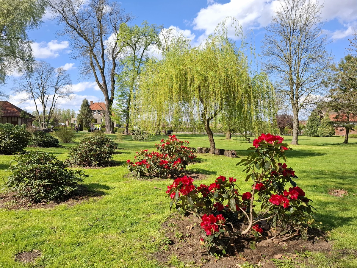 Wygląd Centrum Hortiterapii w miesiącu kwietniu