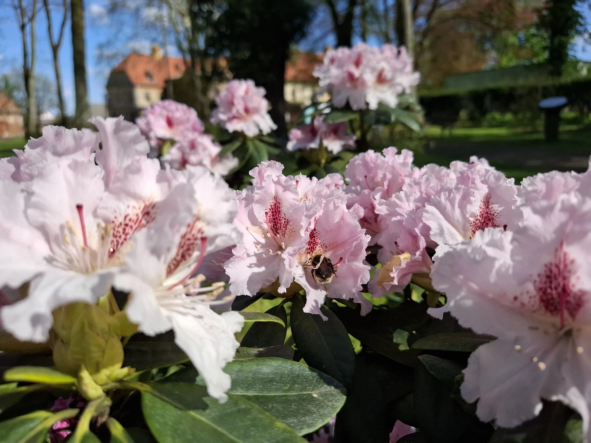 Wygląd Centrum Hortiterapii w miesiącu kwietniu