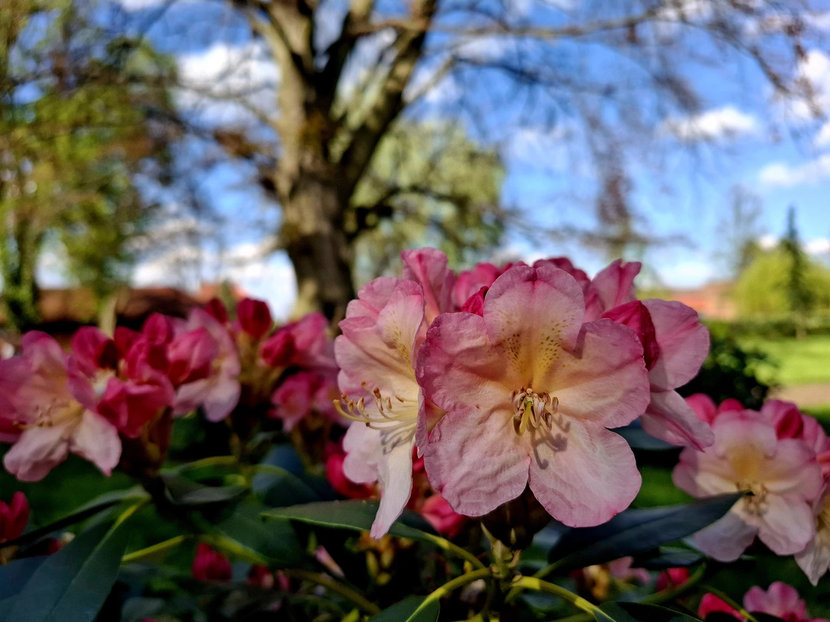 Wygląd Centrum Hortiterapii w miesiącu kwietniu