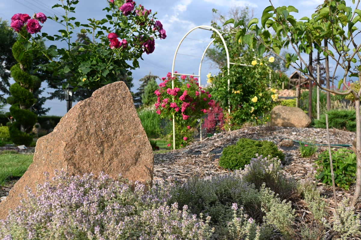 Wygląd Centrum Hortiterapii w lipcu