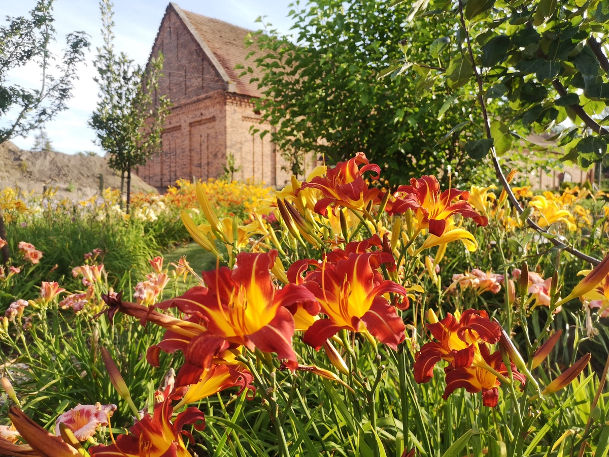 Wygląd Centrum Hortiterapii w lipcu