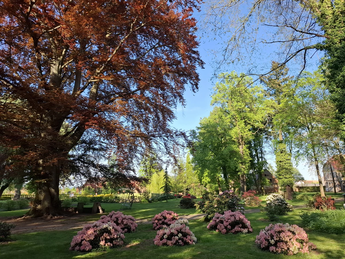 Wygląd Centrum Hortiterapii w miesiącu maju