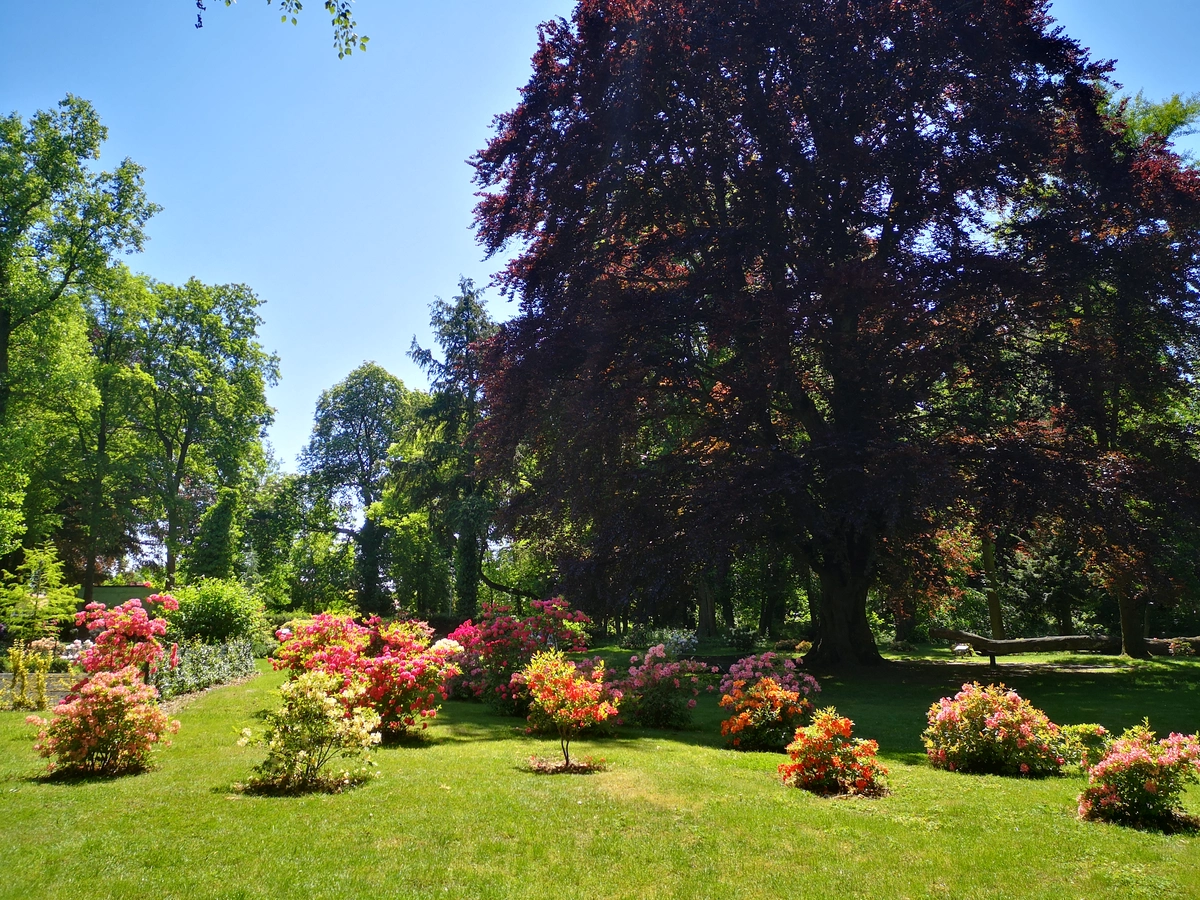 Wygląd Centrum Hortiterapii w miesiącu maju