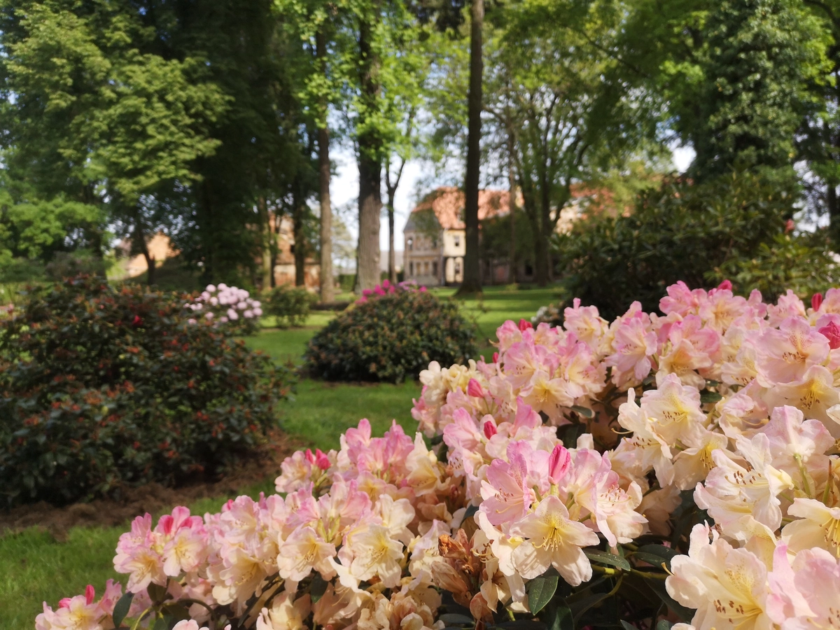 Wygląd Centrum Hortiterapii w miesiącu maju