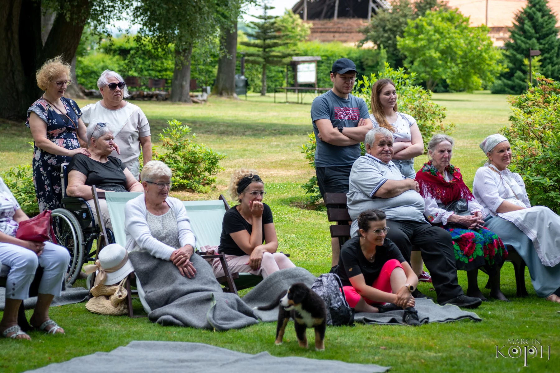 projekty Fundacja Dalków