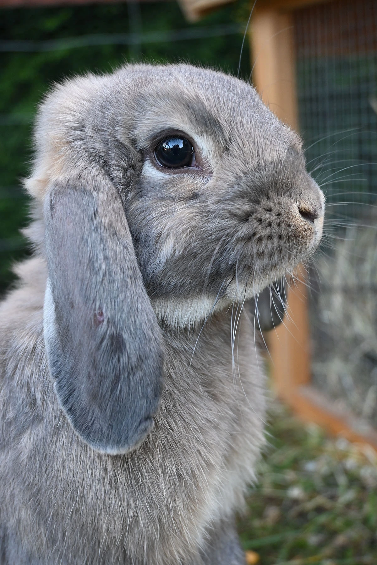 Centrum Hortiterapii