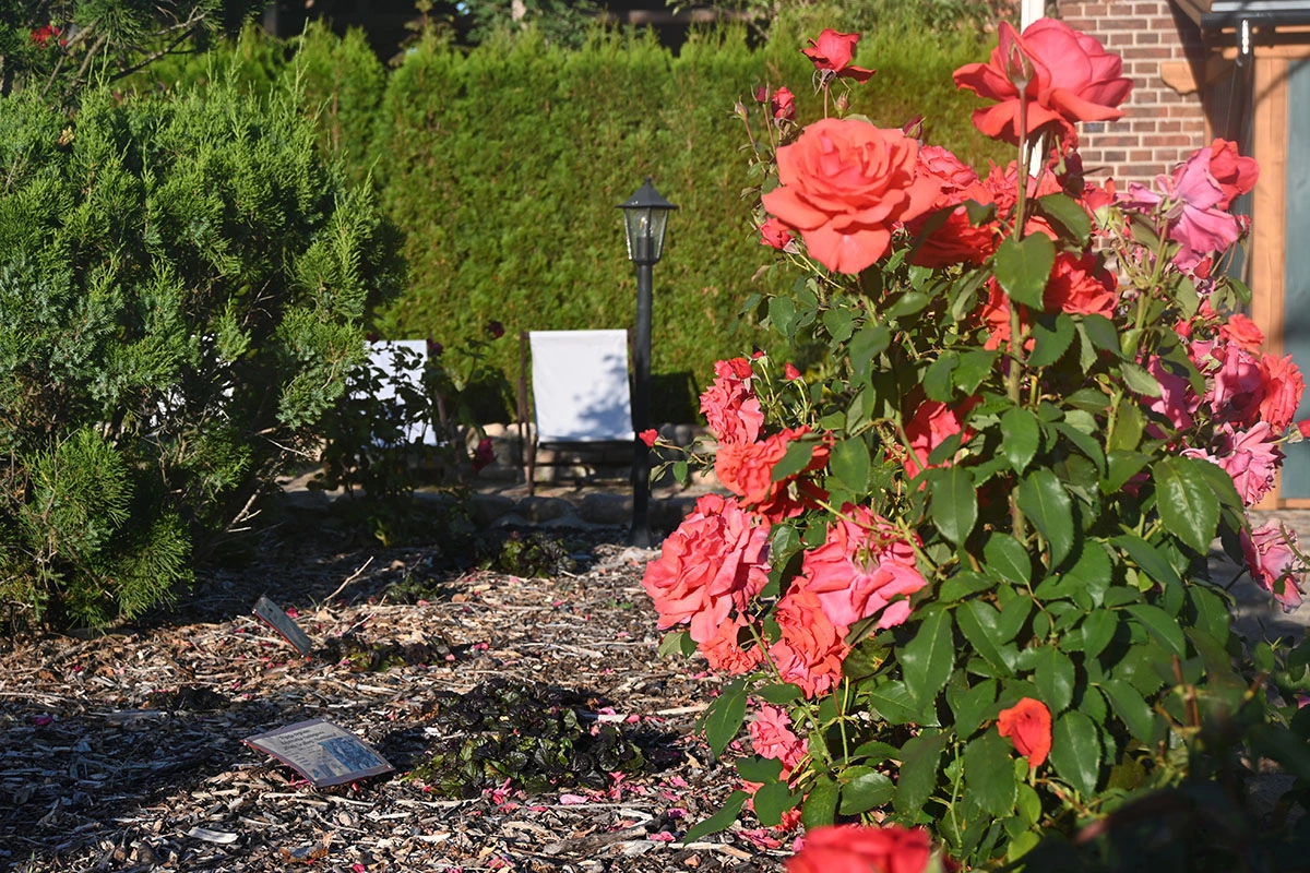 Centrum Hortiterapii - Ogrody Zmysłów