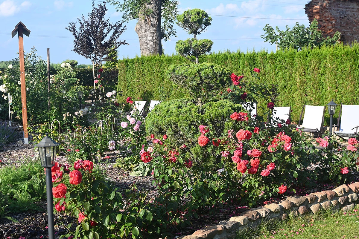 Centrum Hortiterapii - Ogrody Zmysłów