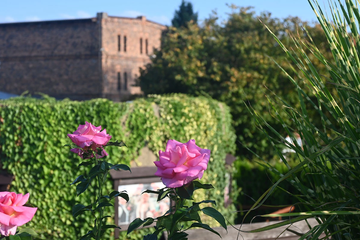 Centrum Hortiterapii - Ogrody Zmysłów