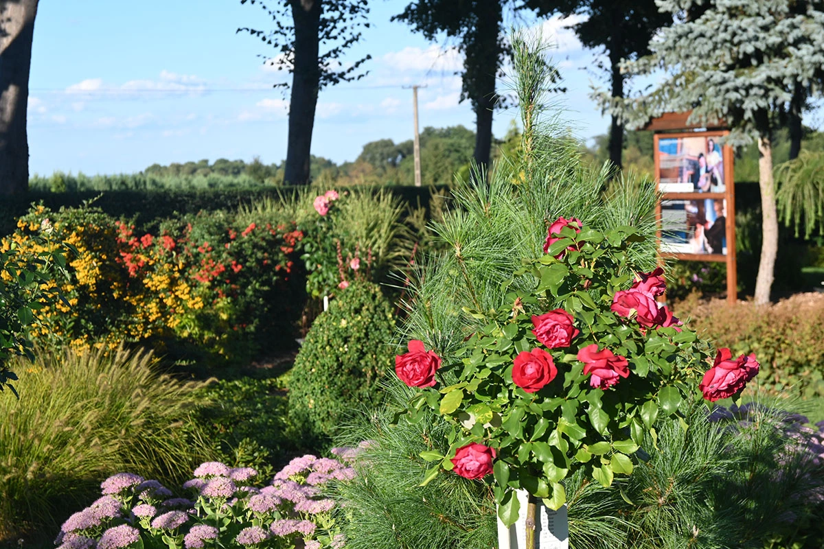 Centrum Hortiterapii - Ogrody Zmysłów