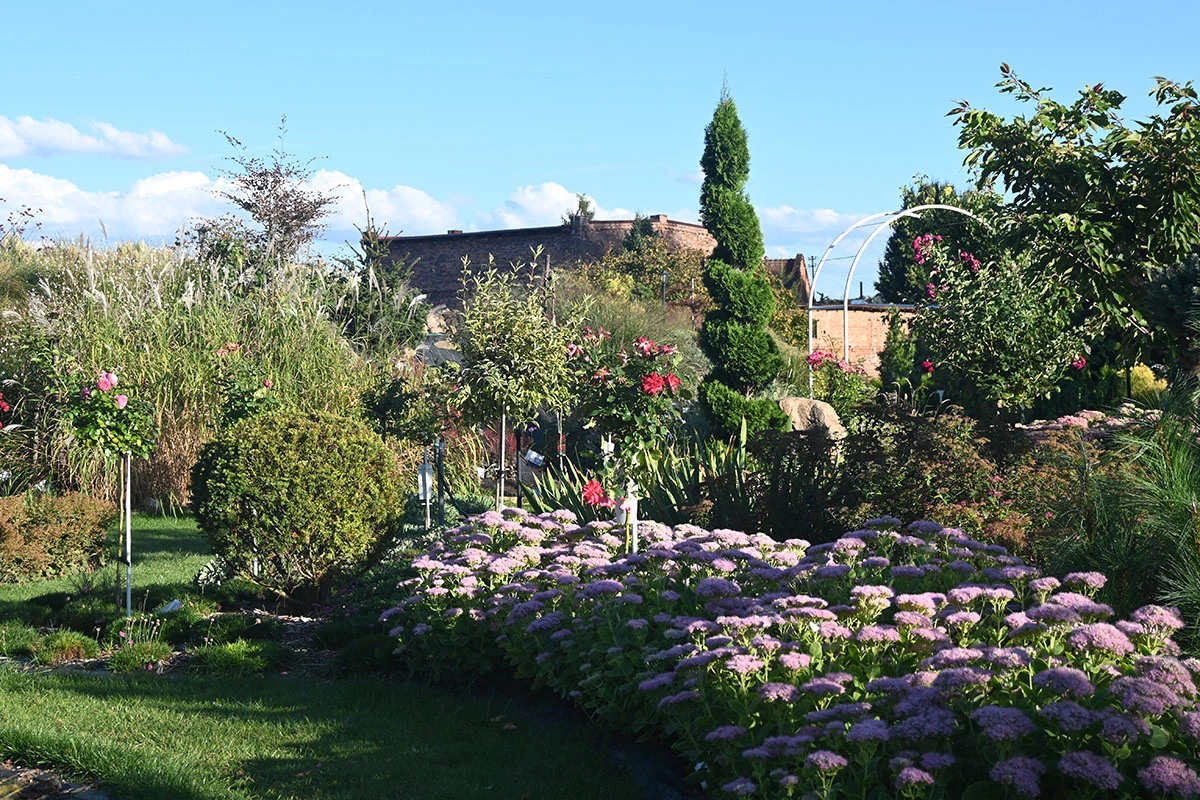 Centrum Hortiterapii - Ogrody Zmysłów
