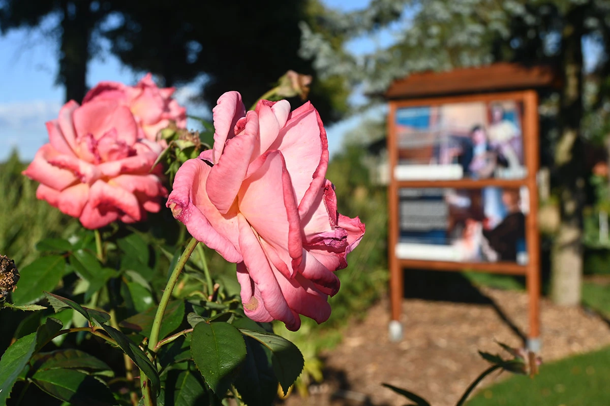 Centrum Hortiterapii - Ogrody Zmysłów
