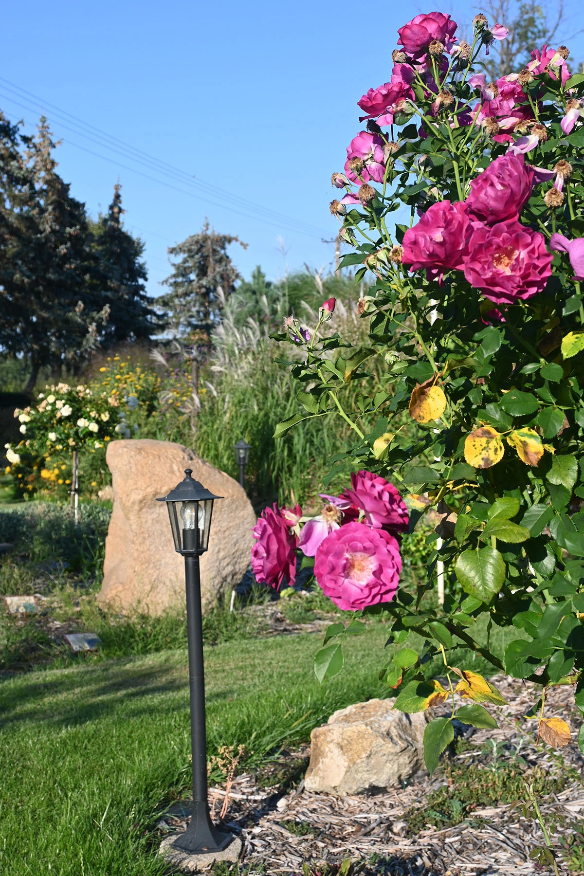 Centrum Hortiterapii - Ogrody Zmysłów