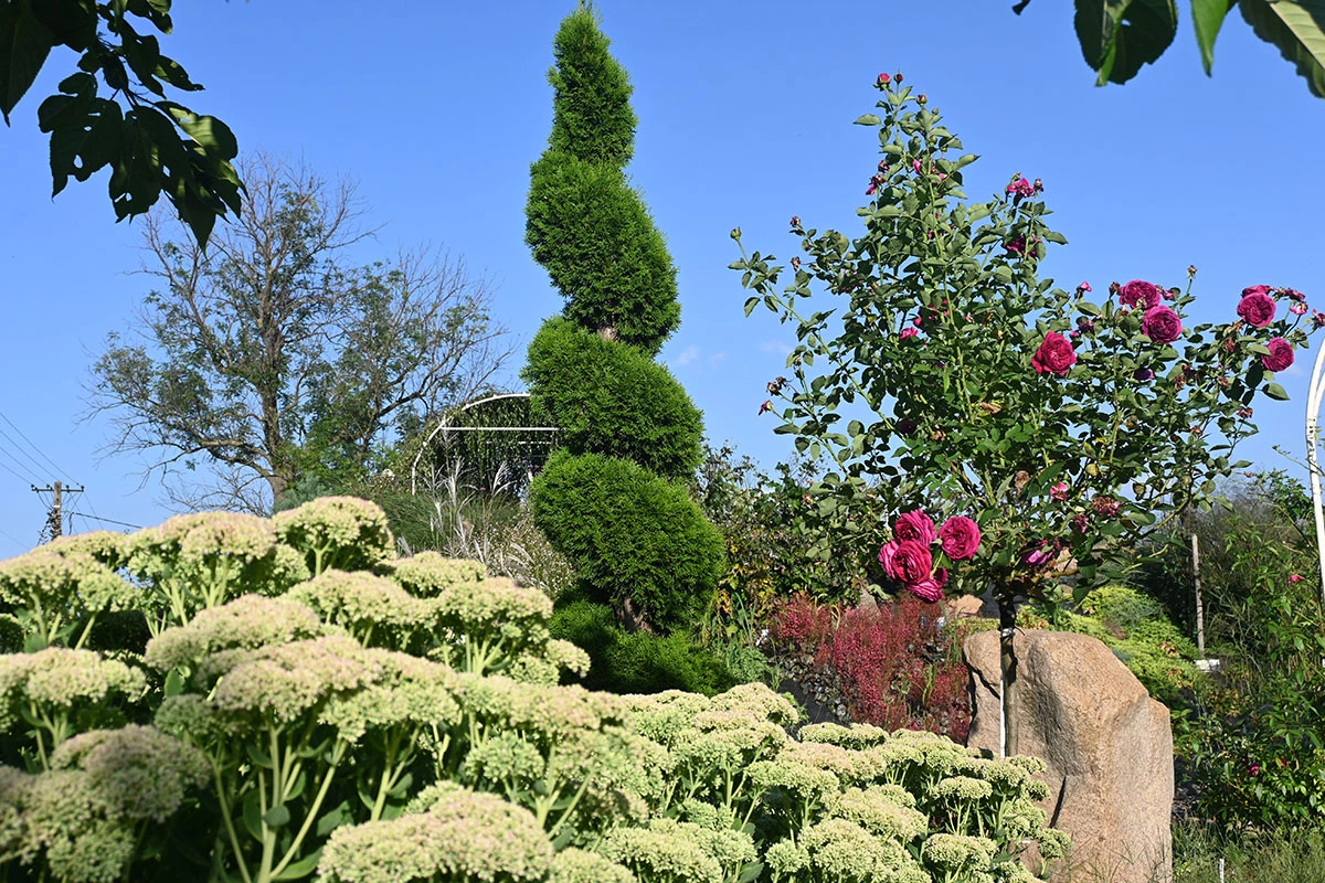 Centrum Hortiterapii - Ogrody Zmysłów