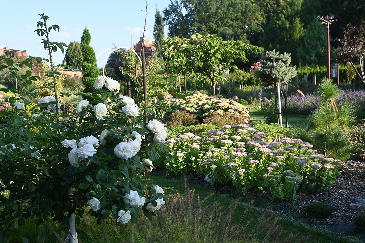 Centrum Hortiterapii - Ogrody Zmysłów