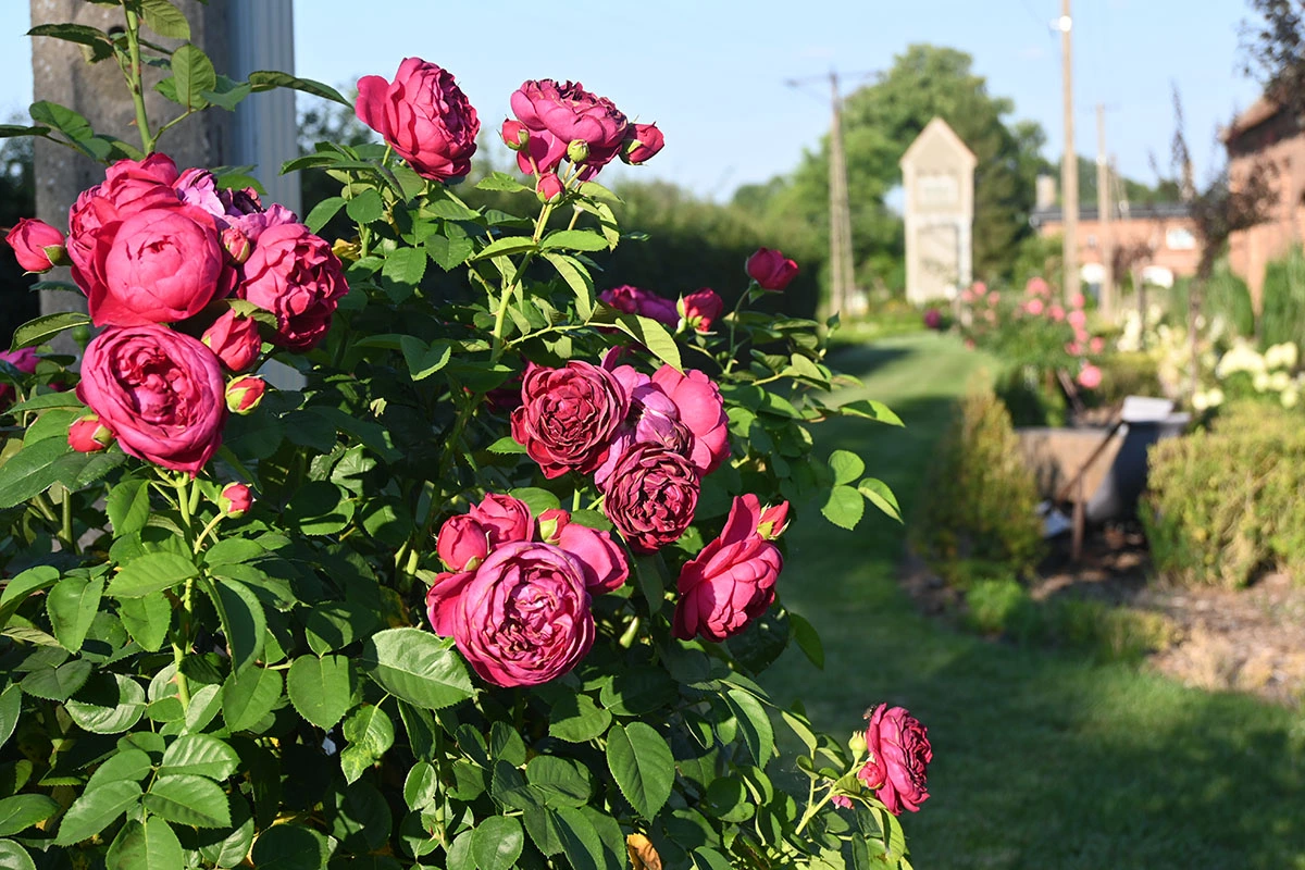 Centrum Hortiterapii - Ogrody Zmysłów