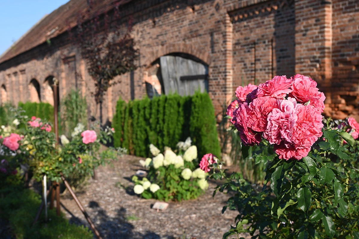 Centrum Hortiterapii - Ogrody Zmysłów