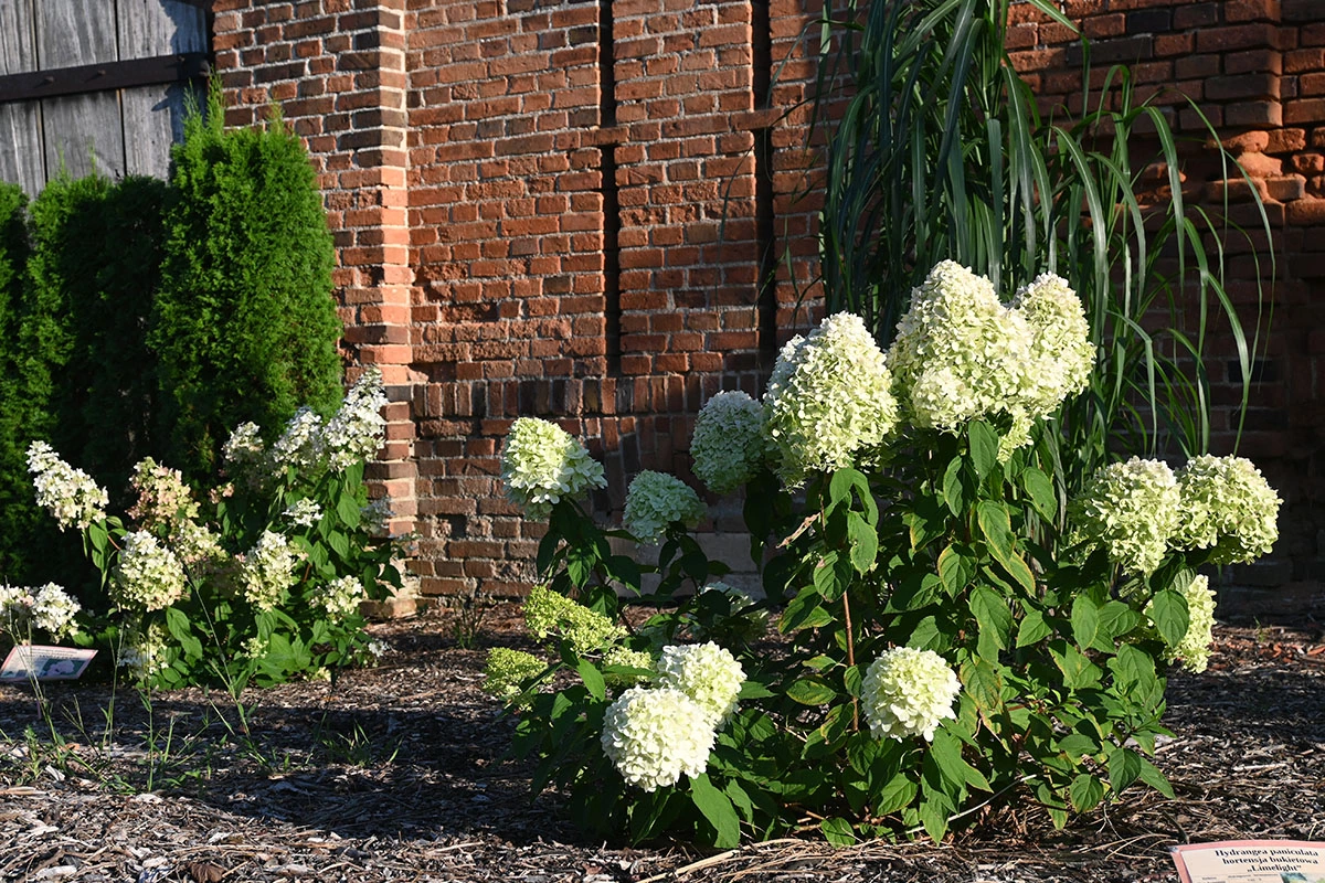 Centrum Hortiterapii - Ogrody Zmysłów
