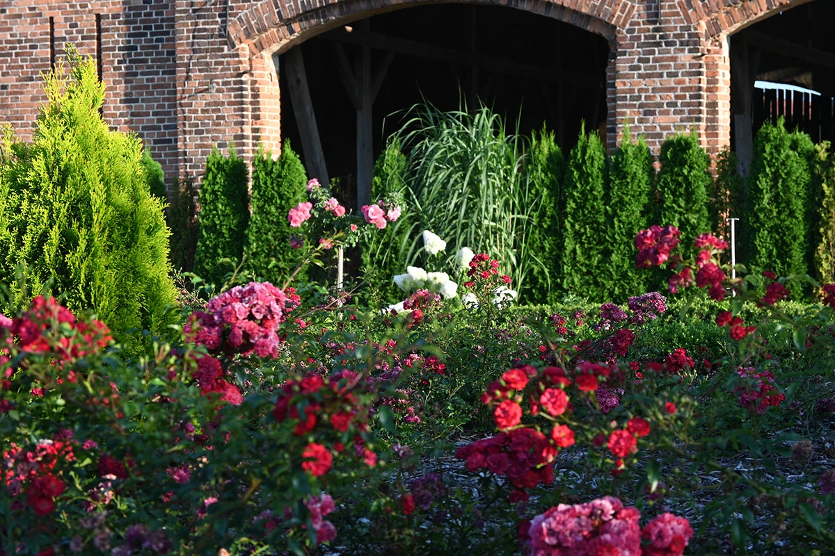 Centrum Hortiterapii - Ogrody Zmysłów